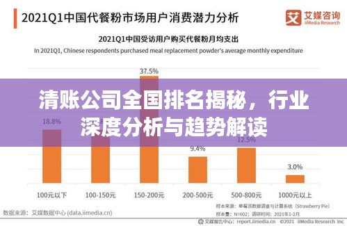清账公司全国排名揭秘，行业深度分析与趋势解读