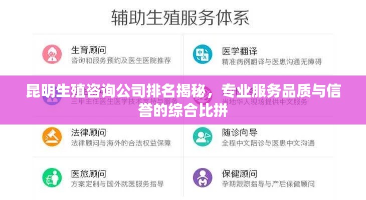 昆明生殖咨询公司排名揭秘，专业服务品质与信誉的综合比拼