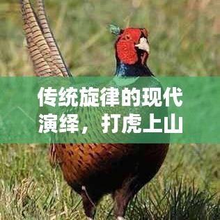 传统旋律的现代演绎，打虎上山简谱的魅力回响