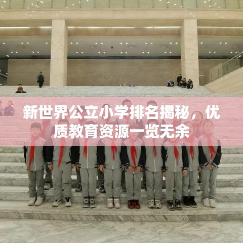 新世界公立小学排名揭秘，优质教育资源一览无余