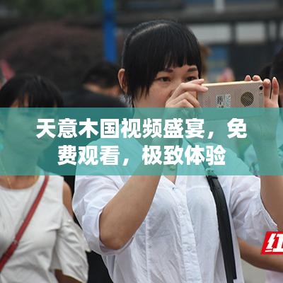 天意木国视频盛宴，免费观看，极致体验
