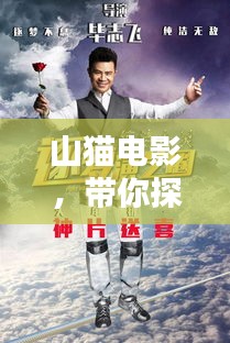 山猫电影，带你探索未知的影视世界，精彩内容不容错过！