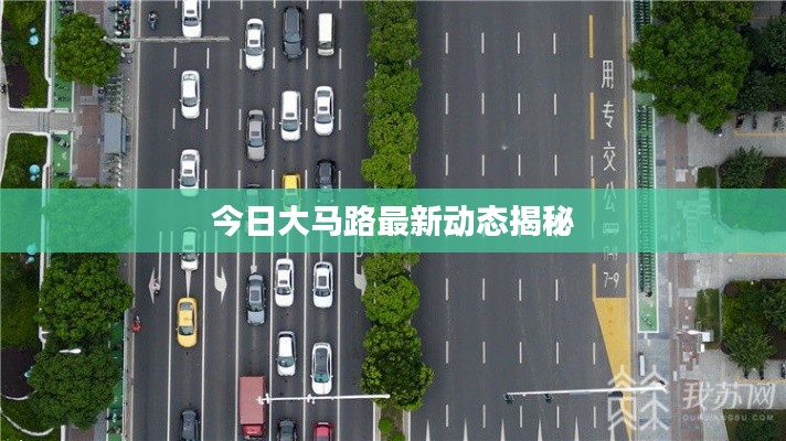 今日大马路最新动态揭秘