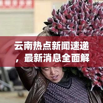 云南热点新闻速递，最新消息全面解析