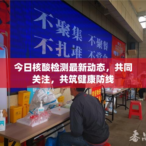 今日核酸检测最新动态，共同关注，共筑健康防线