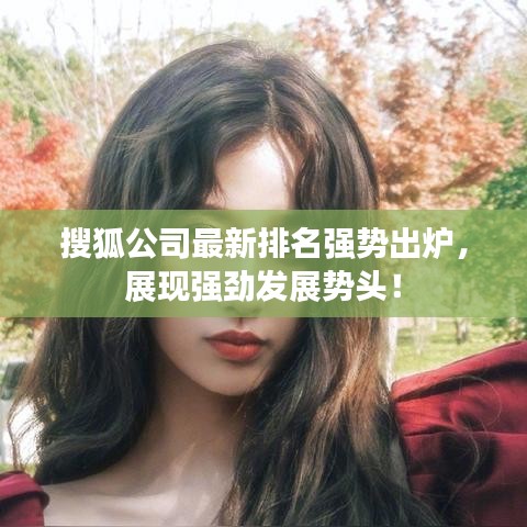 搜狐公司最新排名强势出炉，展现强劲发展势头！