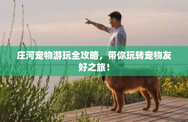 仪态万方 第2页