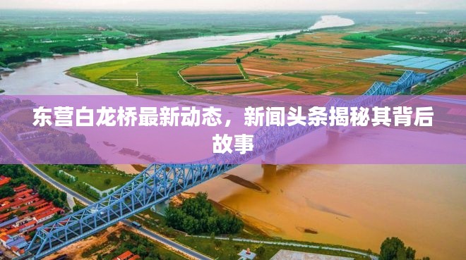 东营白龙桥最新动态，新闻头条揭秘其背后故事