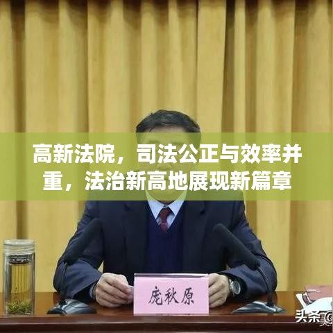 高新法院，司法公正与效率并重，法治新高地展现新篇章