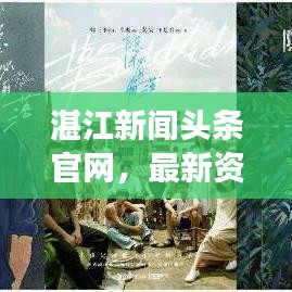 湛江新闻头条官网，最新资讯实时传递，湛江风采尽展眼前