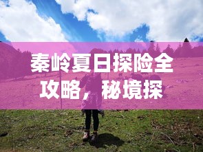 秦岭夏日探险全攻略，秘境探险之旅开启！