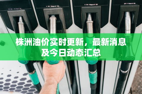 株洲油价实时更新，最新消息及今日动态汇总