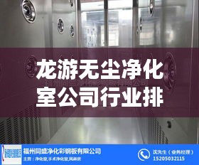 龙游无尘净化室公司行业排名及深度分析