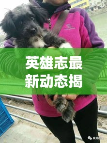 英雄志最新动态揭秘，今日消息一网打尽！