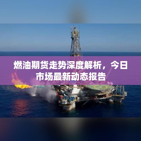 燃油期货走势深度解析，今日市场最新动态报告