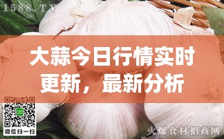 大蒜今日行情实时更新，最新分析与市场动态查询