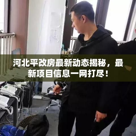河北平改房最新动态揭秘，最新项目信息一网打尽！