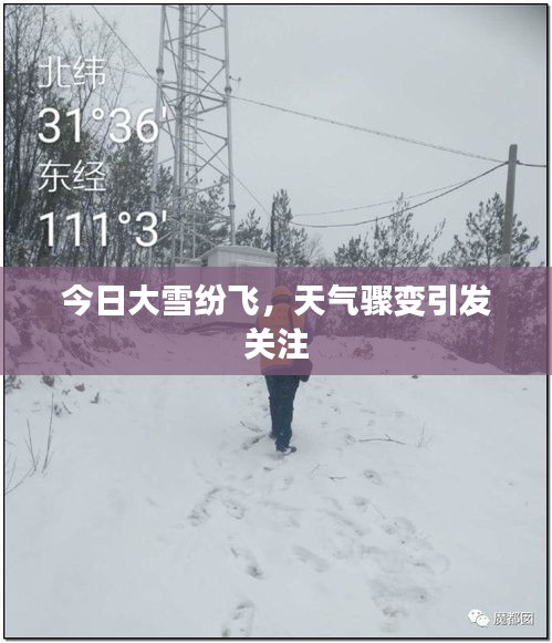 今日大雪纷飞，天气骤变引发关注