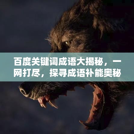 百度关键词成语大揭秘，一网打尽，探寻成语补能奥秘！