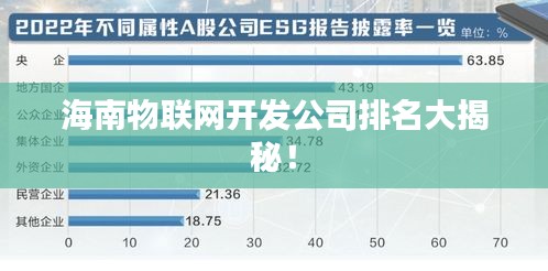 海南物联网开发公司排名大揭秘！