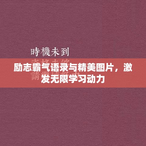 励志霸气语录与精美图片，激发无限学习动力