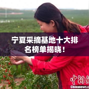 宁夏采摘基地十大排名榜单揭晓！