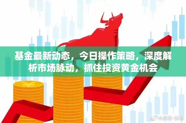 基金最新动态，今日操作策略，深度解析市场脉动，抓住投资黄金机会