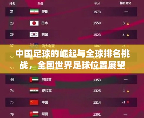 中国足球的崛起与全球排名挑战，全国世界足球位置展望