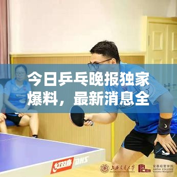 今日乒乓晚报独家爆料，最新消息全掌握！