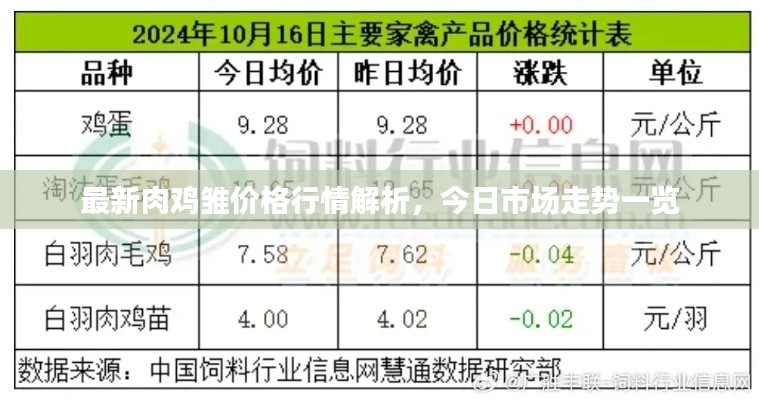 鸟吏鳖官 第2页