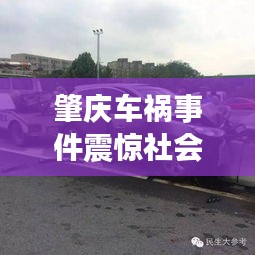 肇庆车祸事件震惊社会，最新头条新闻持续关注中