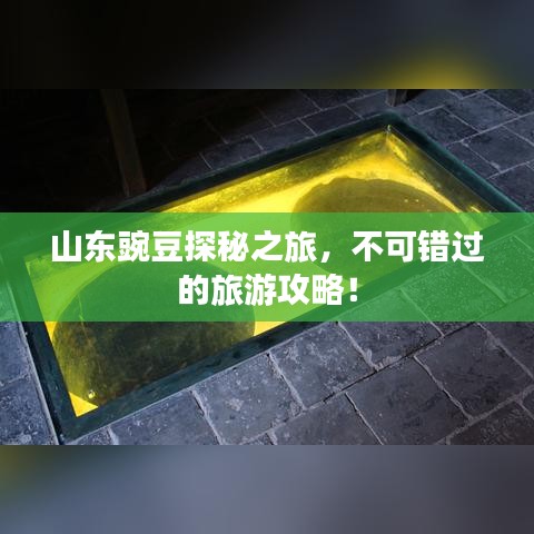 山东豌豆探秘之旅，不可错过的旅游攻略！