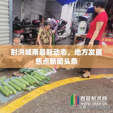 射洪城南最新动态，地方发展焦点新闻头条