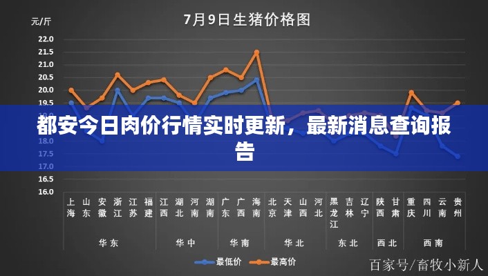 都安今日肉价行情实时更新，最新消息查询报告