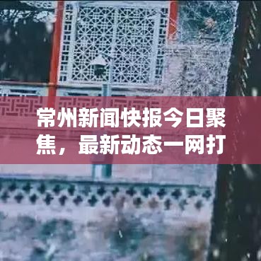 常州新闻快报今日聚焦，最新动态一网打尽