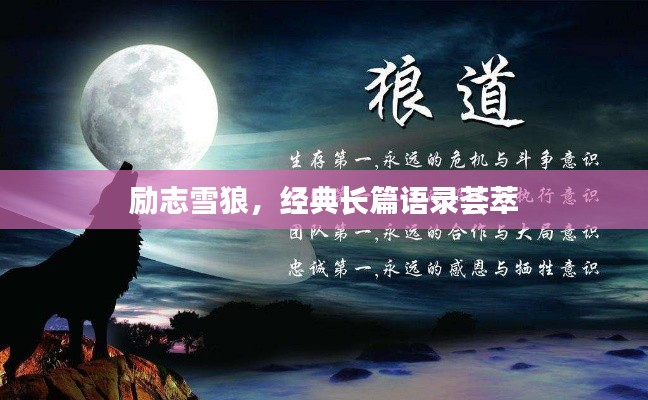 励志雪狼，经典长篇语录荟萃
