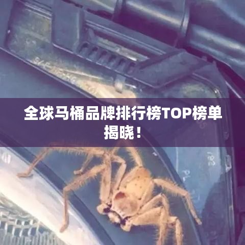 全球马桶品牌排行榜TOP榜单揭晓！