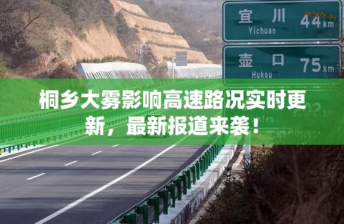 桐乡大雾影响高速路况实时更新，最新报道来袭！