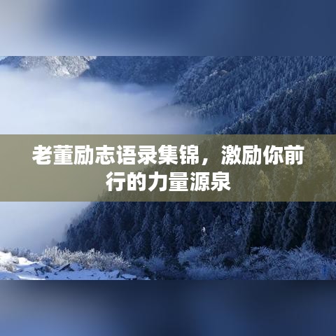 贵不召骄 第2页
