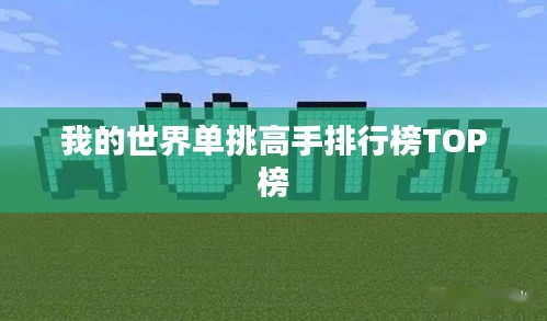 我的世界单挑高手排行榜TOP榜