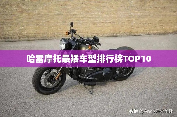 哈雷摩托最矮车型排行榜TOP10