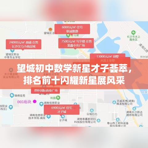 望城初中数学新星才子荟萃，排名前十闪耀新星展风采