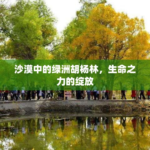 沙漠中的绿洲胡杨林，生命之力的绽放