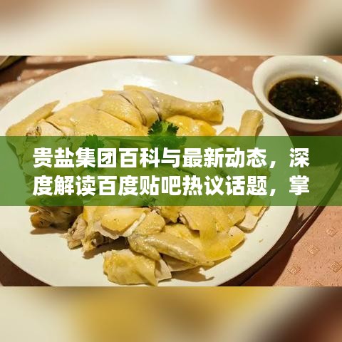 贵盐集团百科与最新动态，深度解读百度贴吧热议话题，掌握集团最新资讯