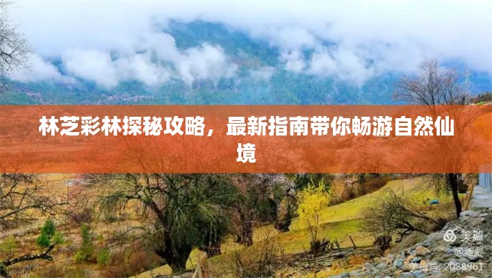 林芝彩林探秘攻略，最新指南带你畅游自然仙境