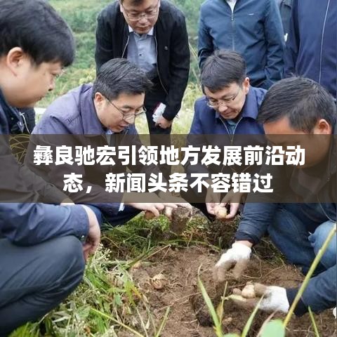 彝良驰宏引领地方发展前沿动态，新闻头条不容错过