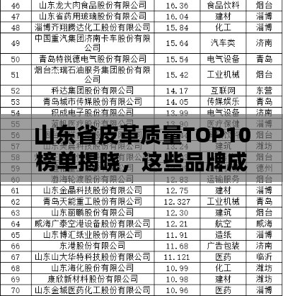 山东省皮革质量TOP10榜单揭晓，这些品牌成行业佼佼者！