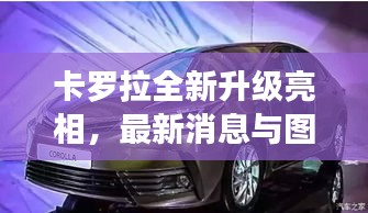 卡罗拉全新升级亮相，最新消息与图片展现风采