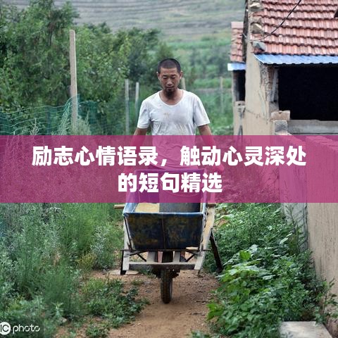 励志心情语录，触动心灵深处的短句精选