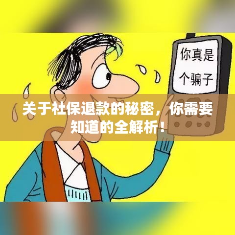 关于社保退款的秘密，你需要知道的全解析！